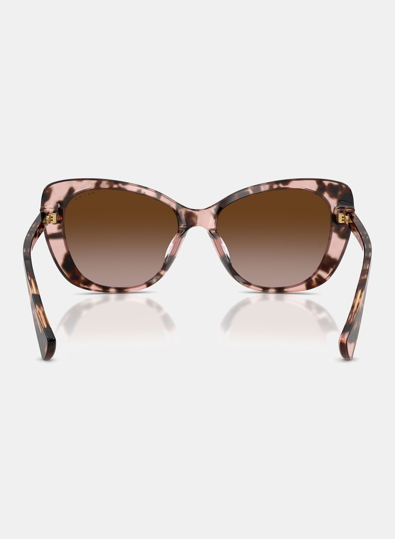 RALPH Full-rimed Butterfly Sunglasses 5329U, 56, 6058, 13 - Image 3